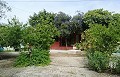 Lovely Villa in Ricabacica, Abanilla + olive grove in Partidor in Spanish Fincas