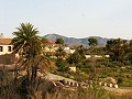 Lovely Villa in Ricabacica, Abanilla + olive grove in Partidor in Spanish Fincas