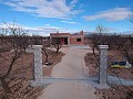 Chalets de obra nueva en Pinoso in Spanish Fincas