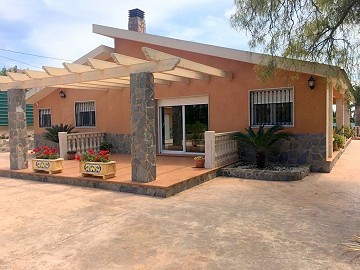 High quality villa walking distance to Novelda