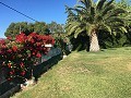 High quality villa walking distance to Novelda in Spanish Fincas