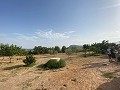 Villa with small guest house in Spanish Fincas