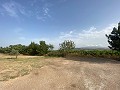 Villa con pequeña casa de huéspedes in Spanish Fincas