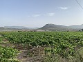 Villa con pequeña casa de huéspedes in Spanish Fincas