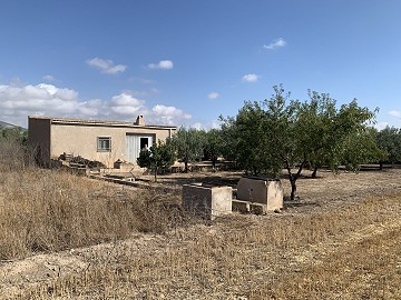 Maison à réformer à Caudete