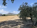 Maison à réformer à Caudete in Spanish Fincas