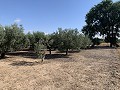 Maison à réformer à Caudete in Spanish Fincas