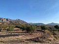 Baugrundstücke in Macisvenda in Spanish Fincas