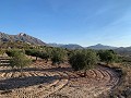 Baugrundstücke in Macisvenda in Spanish Fincas