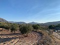 Bouwpercelen in Macisvenda in Spanish Fincas