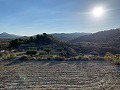 Terrains à bâtir à Macisvenda in Spanish Fincas