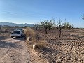 Building plot in Macisvenda in Spanish Fincas