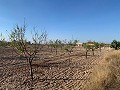 Baugrundstück in Macisvenda in Spanish Fincas