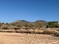 Bouwgrond in Macisvenda in Spanish Fincas