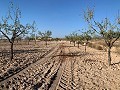 Parcela edificable en Macisvenda in Spanish Fincas