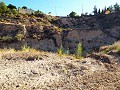 Huis met 12 Slaapkamers in Mahoya, Murcia in Spanish Fincas