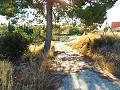 Huis met 12 Slaapkamers in Mahoya, Murcia in Spanish Fincas