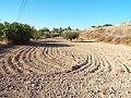 Huis met 12 Slaapkamers in Mahoya, Murcia in Spanish Fincas