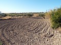 Huis met 12 Slaapkamers in Mahoya, Murcia in Spanish Fincas