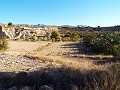 Huis met 12 Slaapkamers in Mahoya, Murcia in Spanish Fincas