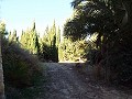 Huis met 12 Slaapkamers in Mahoya, Murcia in Spanish Fincas