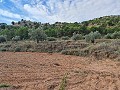 Terrain à Pinoso in Spanish Fincas