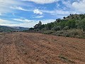 Terrain à Pinoso in Spanish Fincas