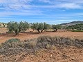 Terrain à Pinoso in Spanish Fincas