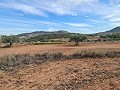 Terrain à Pinoso in Spanish Fincas