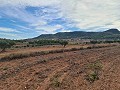 Terrain à Pinoso in Spanish Fincas