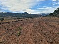 Terrain à Pinoso in Spanish Fincas