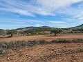 Terrain à Pinoso in Spanish Fincas