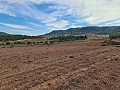 Terrain à Pinoso in Spanish Fincas