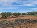 Terrain à Pinoso in Spanish Fincas