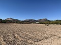 Landhaus mit herrlicher Aussicht in Spanish Fincas