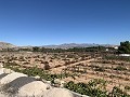 Landhaus mit herrlicher Aussicht in Spanish Fincas