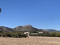 Landhaus mit herrlicher Aussicht in Spanish Fincas