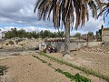 Finca adosada en La Romana in Spanish Fincas