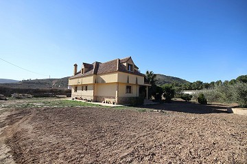 Large Detached Villa in Aspe