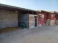 Maison de village de 8 chambres et 2 salles de bain avec écuries et chenils in Spanish Fincas