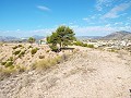 Atemberaubende Aussicht von diesem Grundstück in Macisvenda in Spanish Fincas