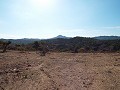 Impresionantes vistas desde esta parcela en Macisvenda in Spanish Fincas