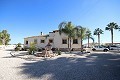 Large Detached Villa with 7 beds in Catral in Spanish Fincas