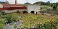 Spacieuse Maison Troglodyte à Distance de Marche de La Romana in Spanish Fincas