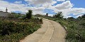 Amplia Casa Cueva a poca distancia a pie de La Romana in Spanish Fincas