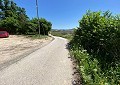 200 Year Old Solid Stone Country House in Spanish Fincas