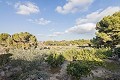 Villa met 4 Slaapkamers, Zwembad en Garage in Spanish Fincas