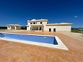 Neubau mit Pool in Pinoso in Spanish Fincas