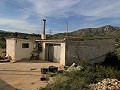 Maison de campagne de 3 chambres et dépôt de stockage à 10 minutes à pied de la ville de Barinas in Spanish Fincas