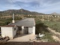 Maison de campagne de 3 chambres et dépôt de stockage à 10 minutes à pied de la ville de Barinas in Spanish Fincas